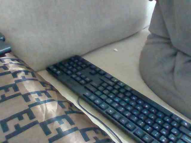 Dollie webcam
