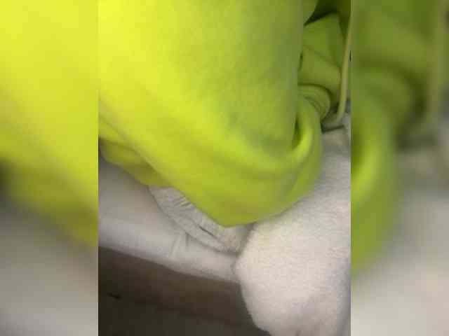 Dollie webcam
