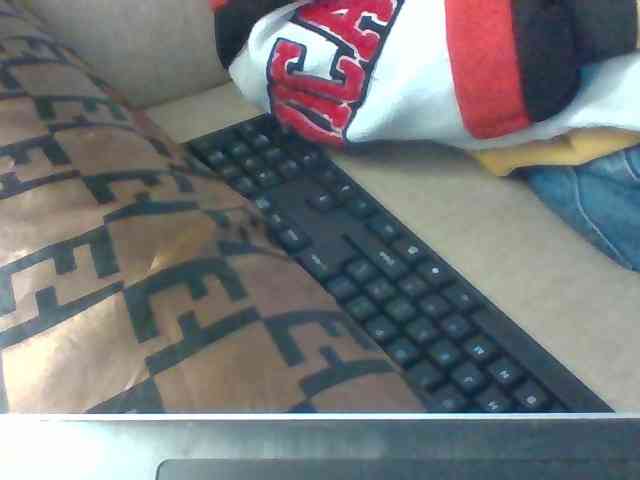 Dollie webcam