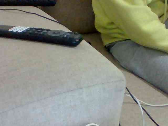Dollie webcam
