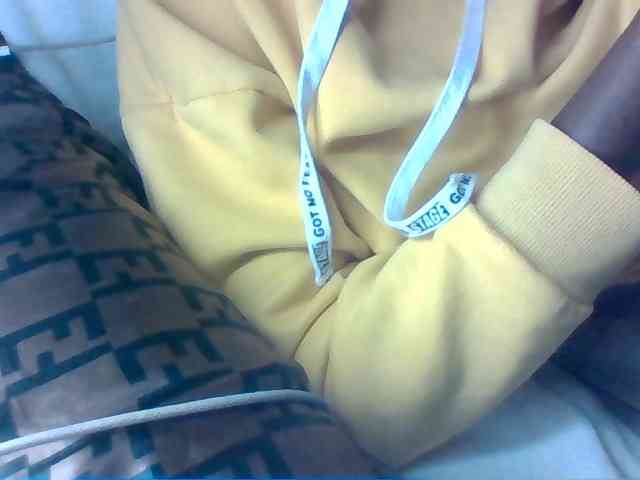 Dollie webcam