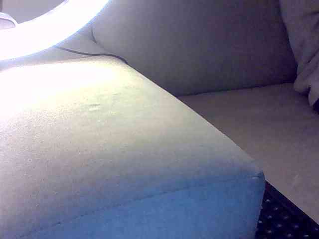Dollie webcam