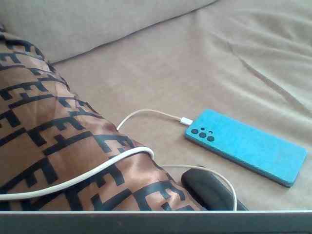 Dollie webcam