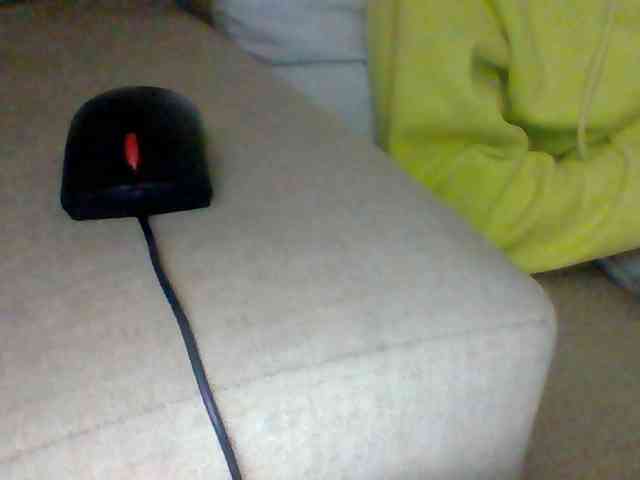 Dollie webcam