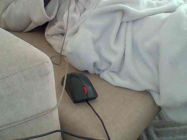 Dollie webcam