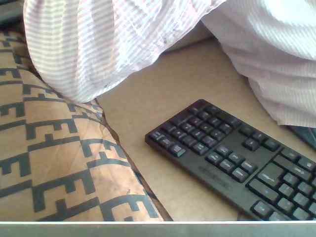 Dollie webcam