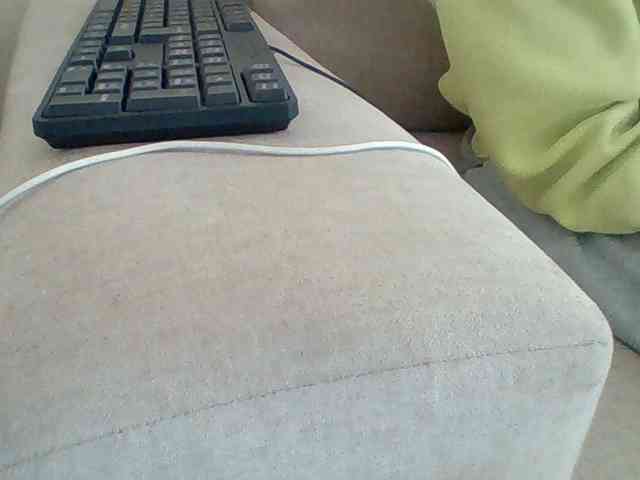 Dollie webcam