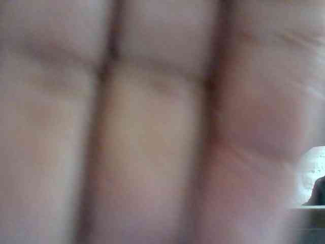 Dollie webcam