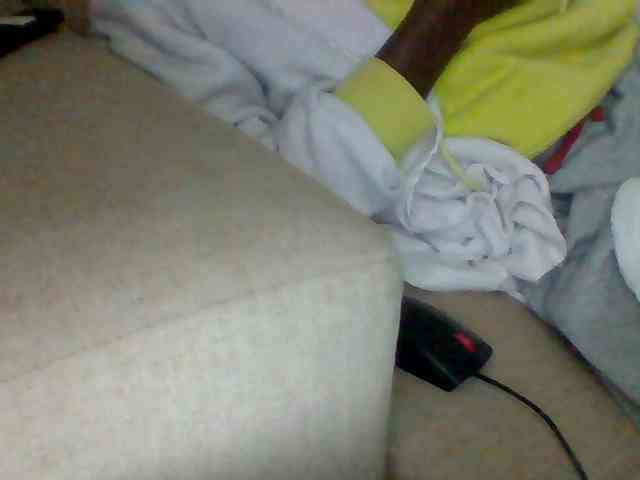 Dollie webcam