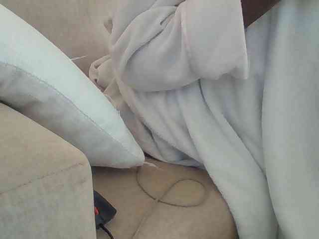 Dollie webcam