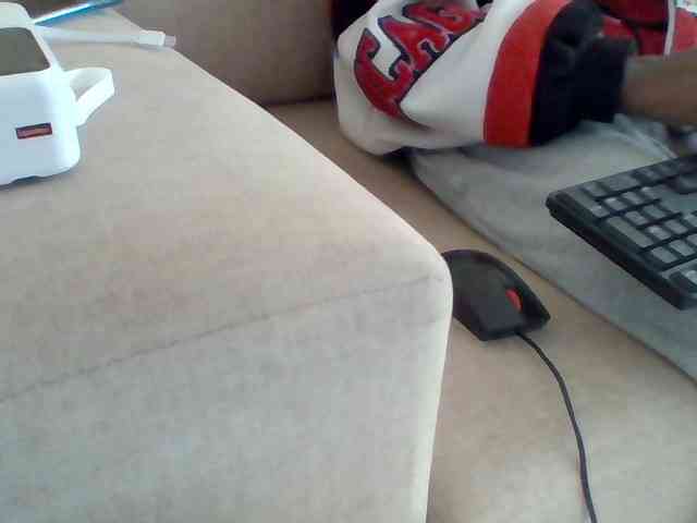 Dollie webcam