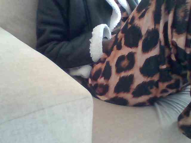 Dollie