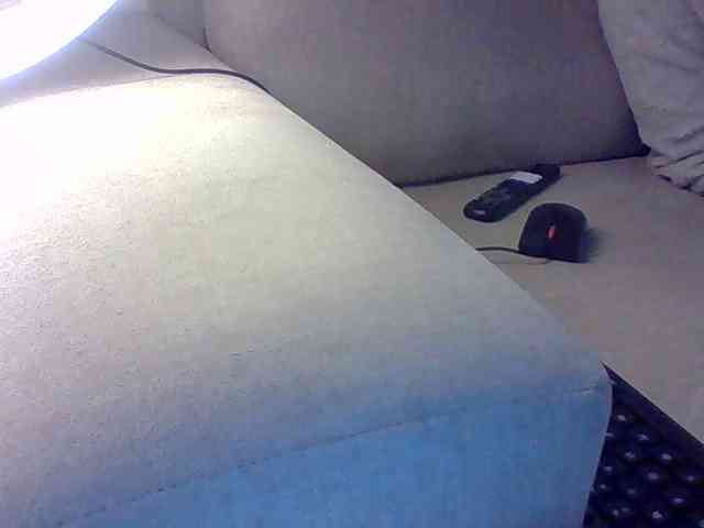 Dollie webcam