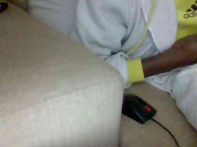 Dollie webcam