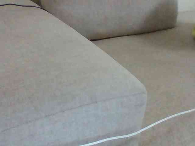 Dollie webcam