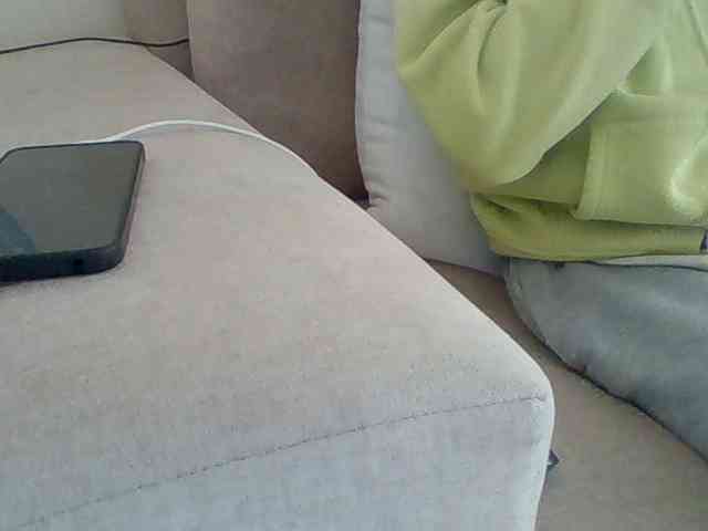 Dollie webcam