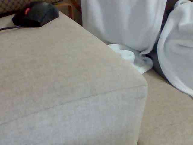 Dollie webcam
