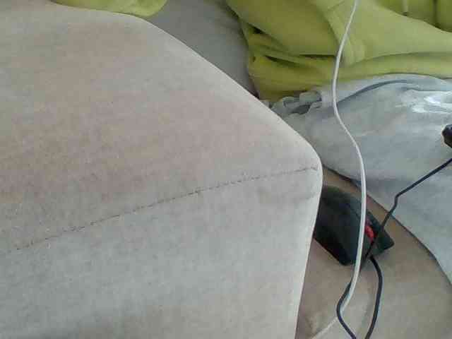 Dollie webcam