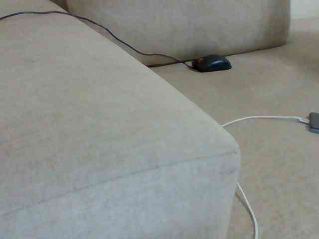 Dollie webcam