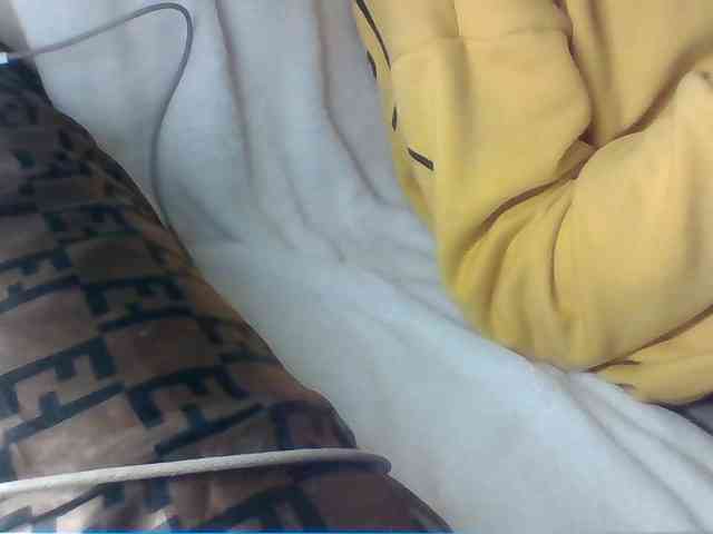 Dollie webcam