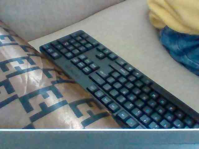 Dollie webcam