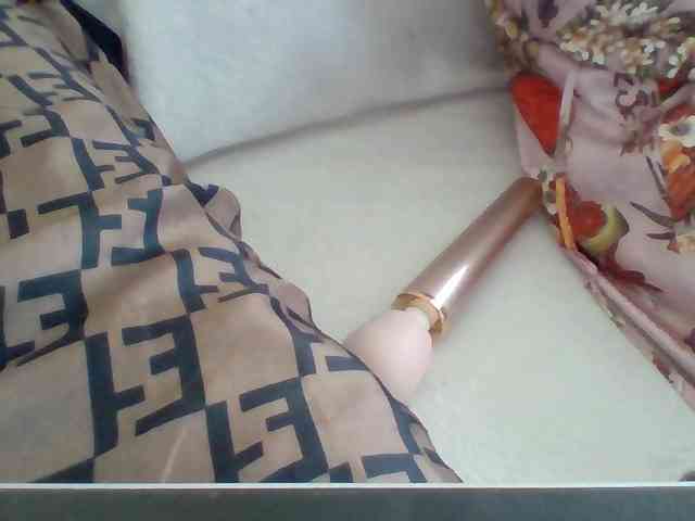 Dollie webcam