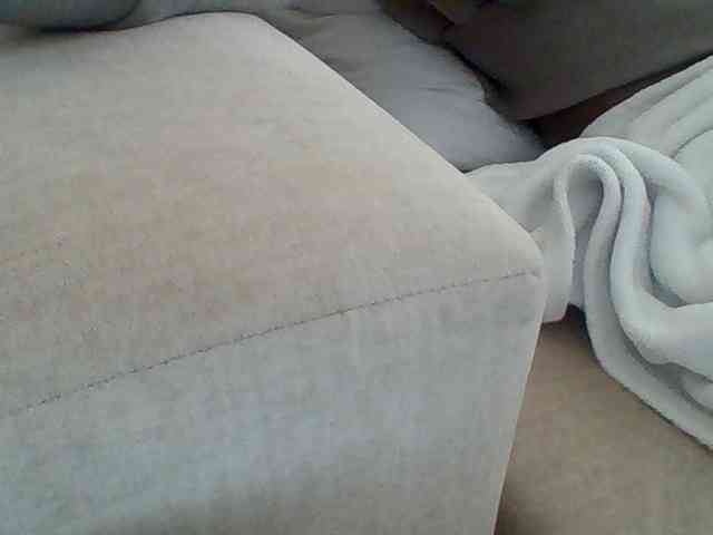 Dollie webcam