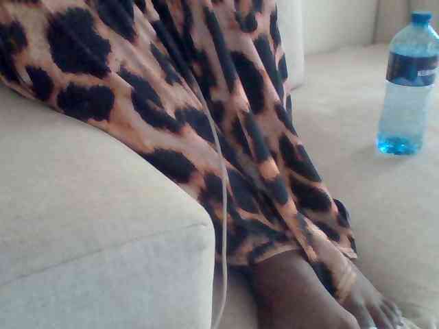 Dollie webcam