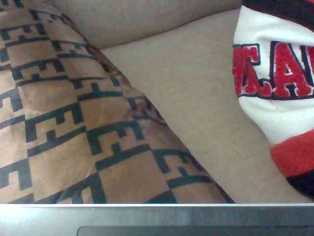 Dollie webcam