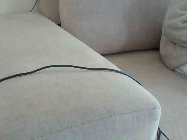 Dollie webcam