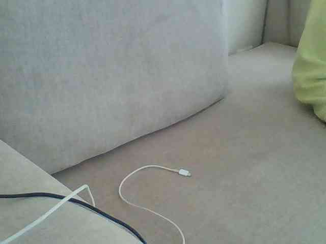 Dollie webcam