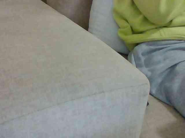 Dollie webcam