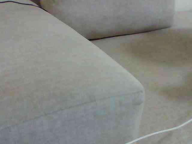 Dollie webcam
