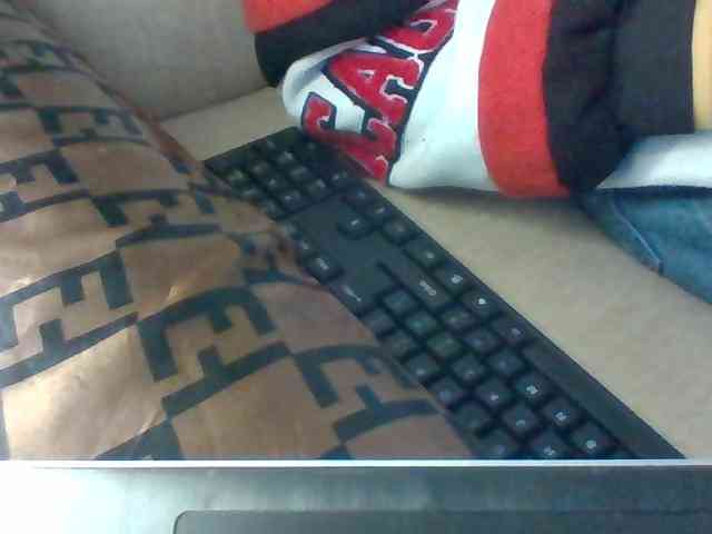 Dollie webcam