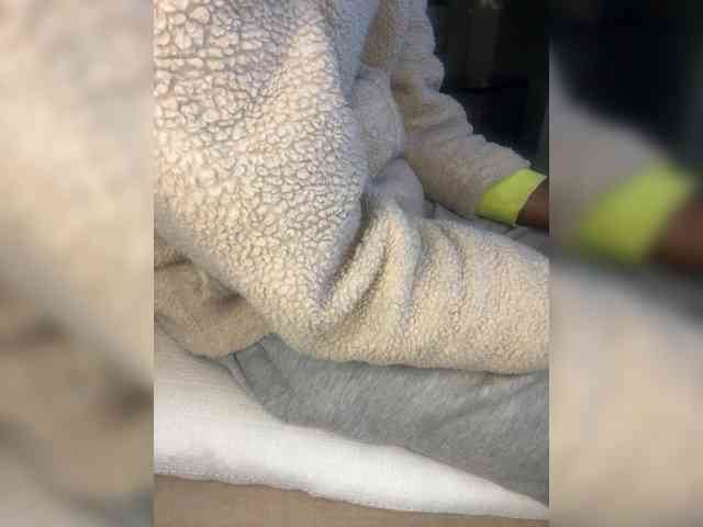 Dollie webcam