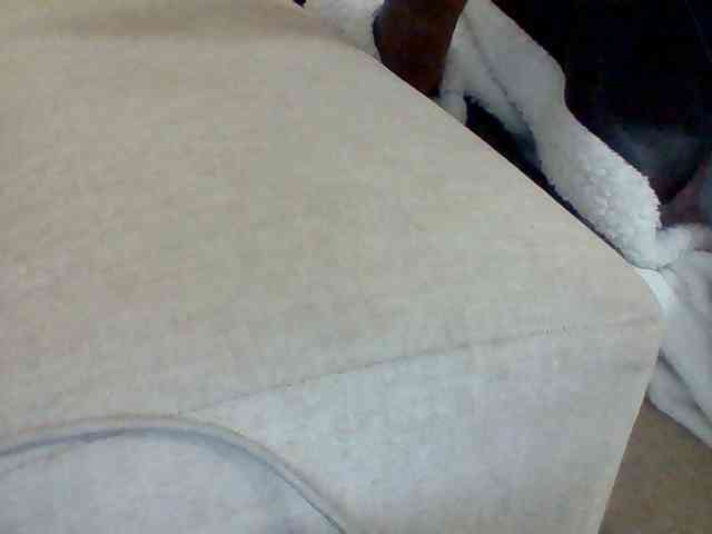 Dollie webcam