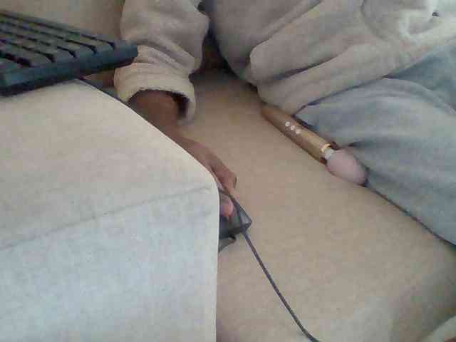 Dollie webcam