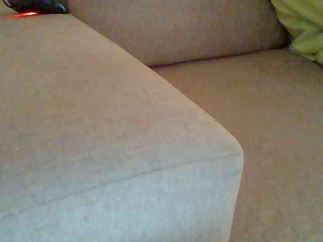 Dollie webcam
