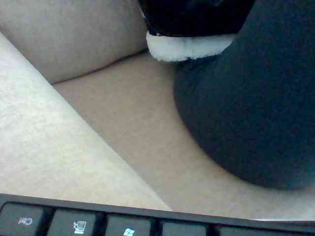 Dollie webcam
