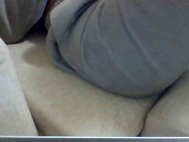 Dollie webcam