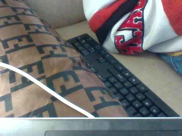 Dollie webcam