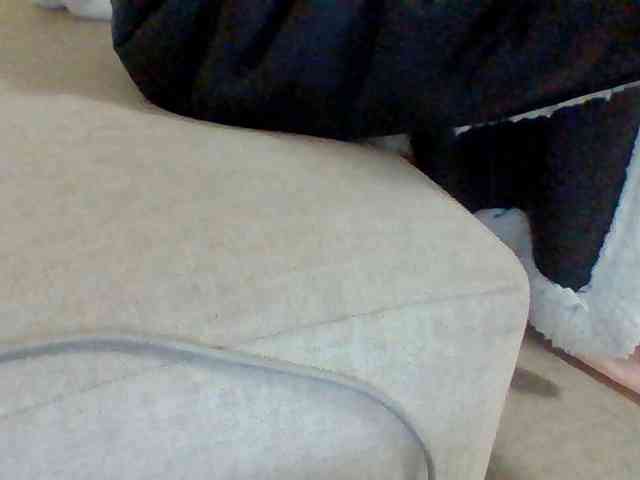 Dollie webcam