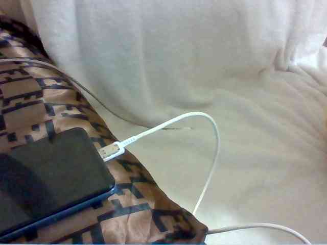 Dollie webcam