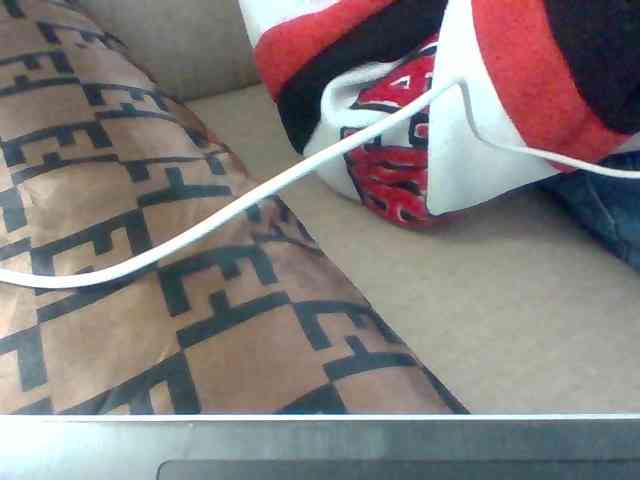 Dollie webcam