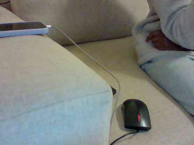 Dollie webcam