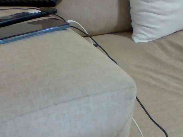 Dollie webcam