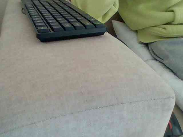 Dollie webcam