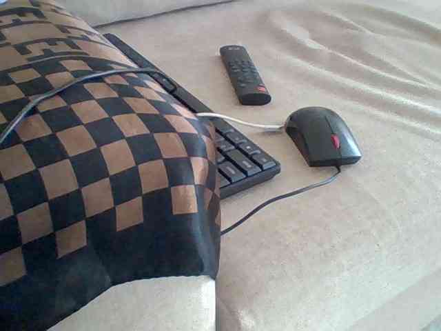 Dollie webcam