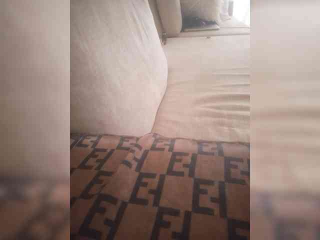 Dollie webcam