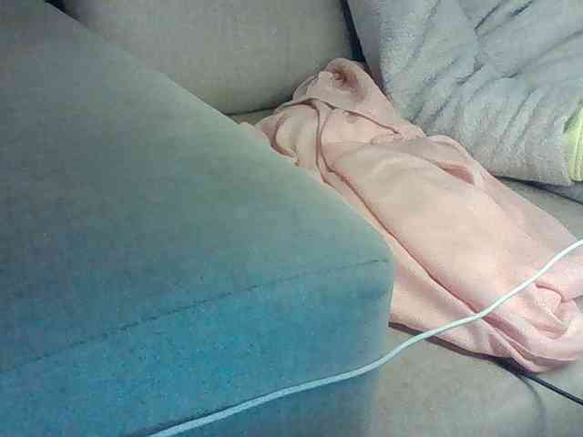 Dollie webcam